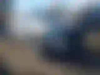 Vehicle Image- 2024 GMC Terrain