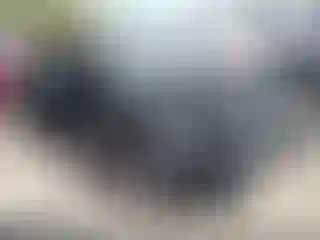Vehicle Image- 2020 GMC Terrain