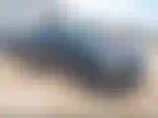 Vehicle Image- 2020 GMC Terrain