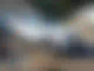 Vehicle Image- 2021 GMC Terrain
