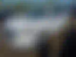 Vehicle Image- 2022 GMC Terrain