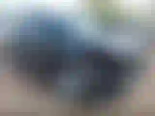 Vehicle Image- 2021 GMC Terrain