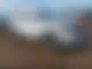 Vehicle Image- 2023 GMC Terrain