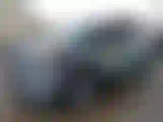 Vehicle Image- 2024 GMC Terrain