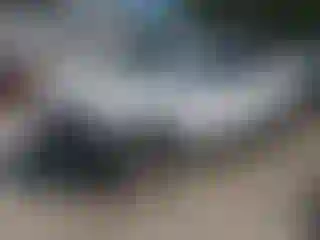 Vehicle Image- 2020 GMC Terrain