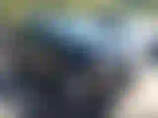 Vehicle Image- 2019 GMC Terrain