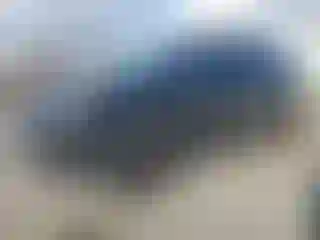 Vehicle Image- 2020 GMC Terrain