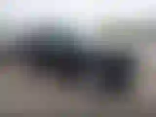 Vehicle Image- 2023 GMC Terrain