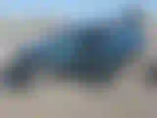 Vehicle Image- 2021 GMC Terrain
