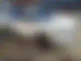 Vehicle Image- 2020 GMC Terrain