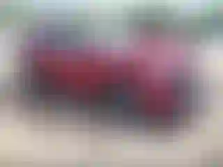 Vehicle Image- 2025 GMC Terrain