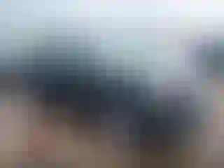 Vehicle Image- 2024 GMC Terrain