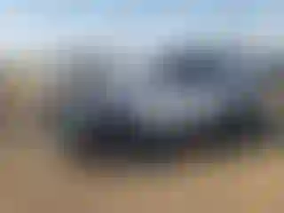 Vehicle Image- 2024 GMC Terrain