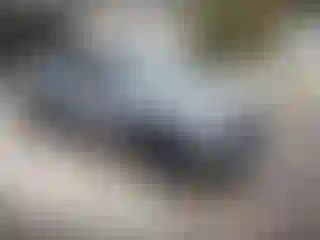 Vehicle Image- 2024 GMC Terrain