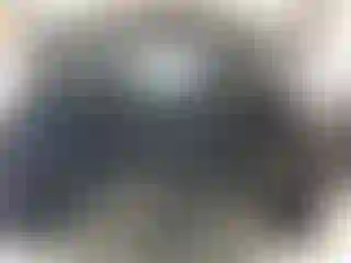 Vehicle Image- 2022 GMC Terrain