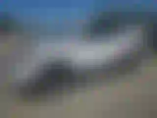 Vehicle Image- 2020 GMC Terrain