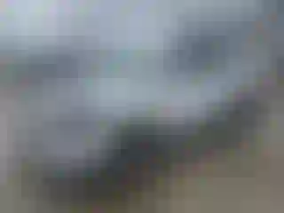 Vehicle Image- 2019 GMC Terrain