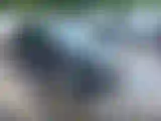 Vehicle Image- 2020 GMC Terrain