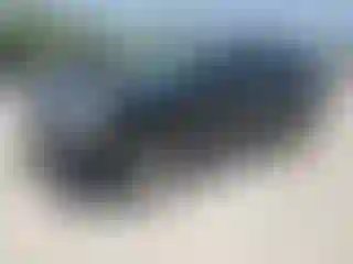 Vehicle Image- 2024 GMC Terrain
