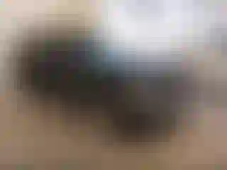 Vehicle Image- 2024 GMC Terrain