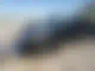 Vehicle Image- 2024 GMC Terrain