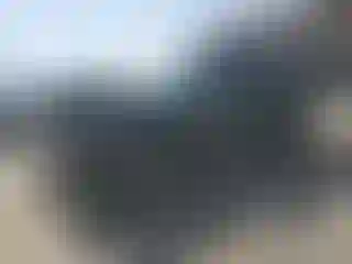 Vehicle Image- 2020 GMC Terrain