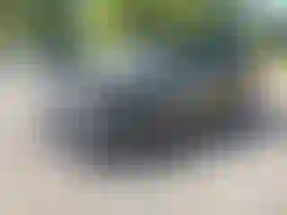 Vehicle Image- 2023 GMC Terrain