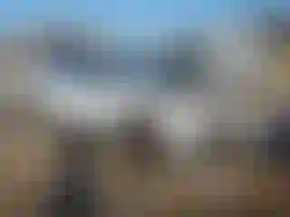 Vehicle Image- 2024 Chevrolet Equinox