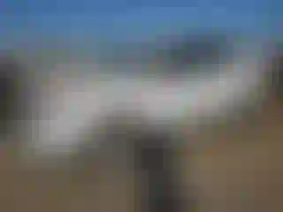 Vehicle Image- 2021 Chevrolet Equinox