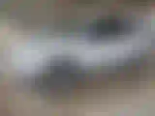 Vehicle Image- 2023 Chevrolet Equinox