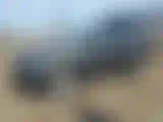 Vehicle Image- 2020 Chevrolet Equinox