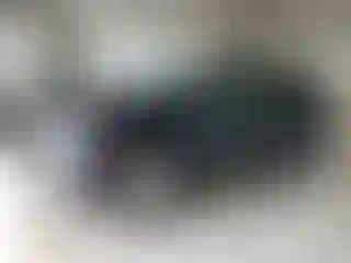 Vehicle Image- 2024 Chevrolet Equinox