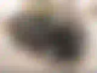 Vehicle Image- 2022 Chevrolet Equinox
