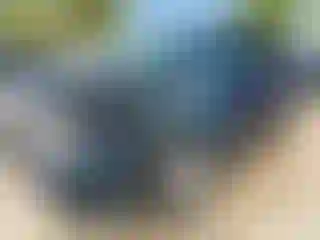 Vehicle Image- 2020 Chevrolet Equinox