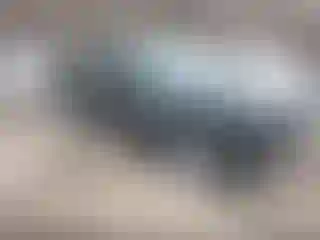 Vehicle Image- 2024 Chevrolet Equinox