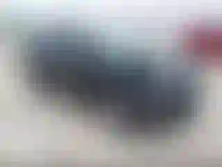 Vehicle Image- 2019 Chevrolet Equinox