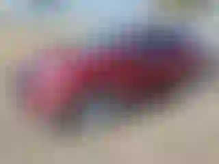Vehicle Image- 2018 Chevrolet Equinox