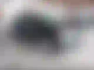 Vehicle Image- 2024 Chevrolet Equinox