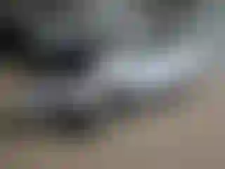 Vehicle Image- 2024 Chevrolet Equinox