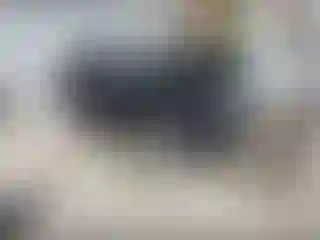 Vehicle Image- 2020 Chevrolet Equinox