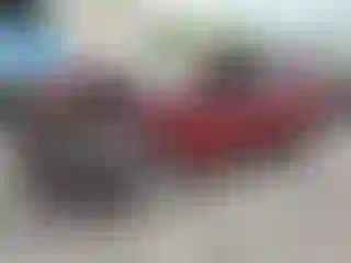 Vehicle Image- 2020 Chevrolet Equinox