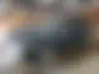 Vehicle Image- 2011 Chevrolet HHR