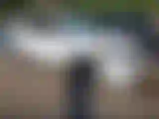 Vehicle Image- 2019 Chevrolet Trax