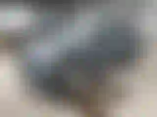 Vehicle Image- 2019 Chevrolet Trax