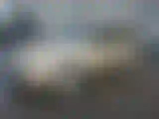 Vehicle Image- 2008 Chevrolet HHR