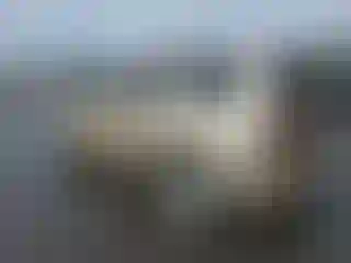 IMPORTOWO.pl