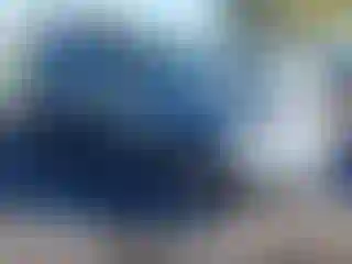 Vehicle Image- 2006 Chevrolet HHR