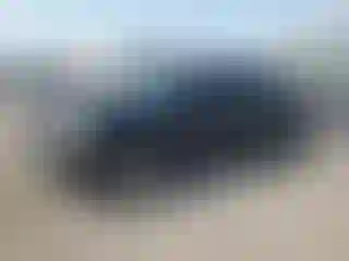 Vehicle Image- 2009 Chevrolet Avalanche
