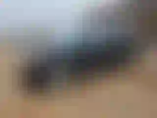 Vehicle Image- 2007 Chevrolet Avalanche