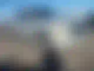 Vehicle Image- 2007 Chevrolet Avalanche